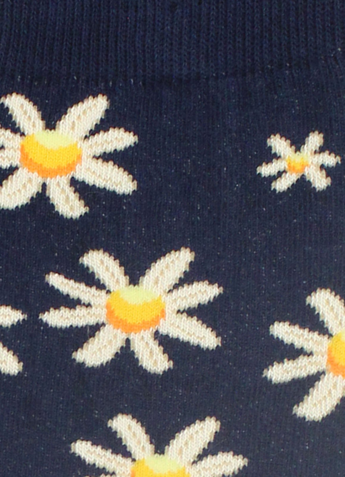 Daisies - 74971 - Hammer Made