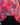 Eveleth - 15365 - 81127 - Hammer Made