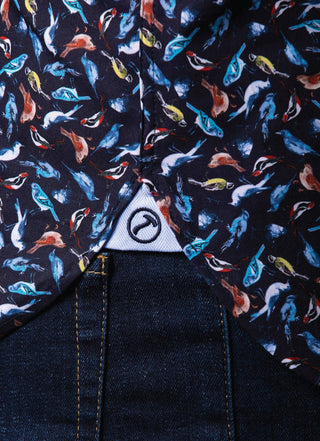 
  
      Bluebird (slim)
    
